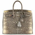 HermÃƒÆ’Ã‚Â¨s Birkin 25 Ombre Lizard Palladium Hardware - Rare