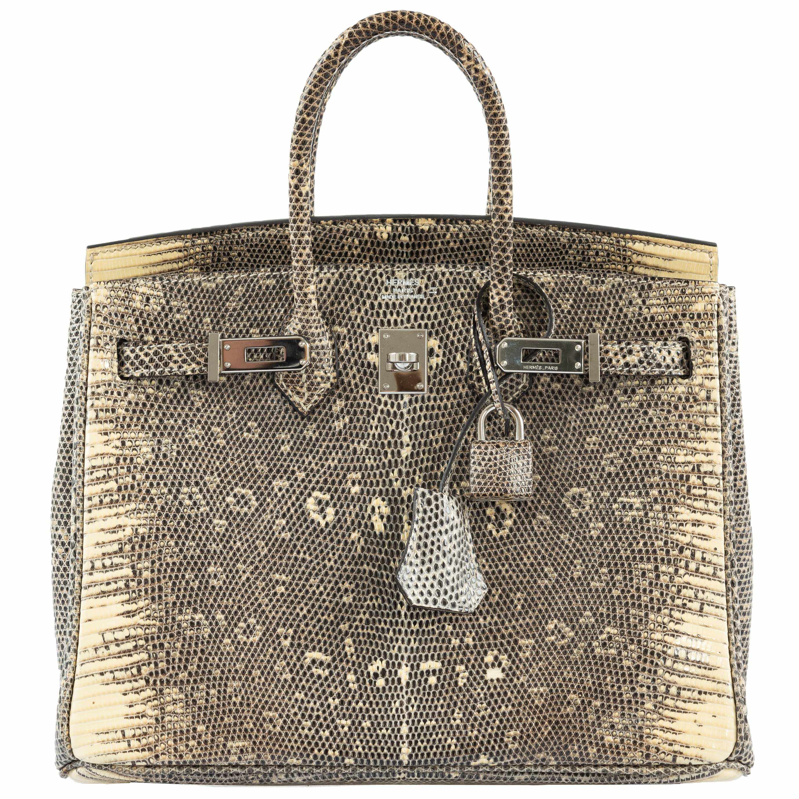 HermÃƒÆ’Ã‚Â¨s Birkin 25 Ombre Lizard Palladium Hardware - Rare