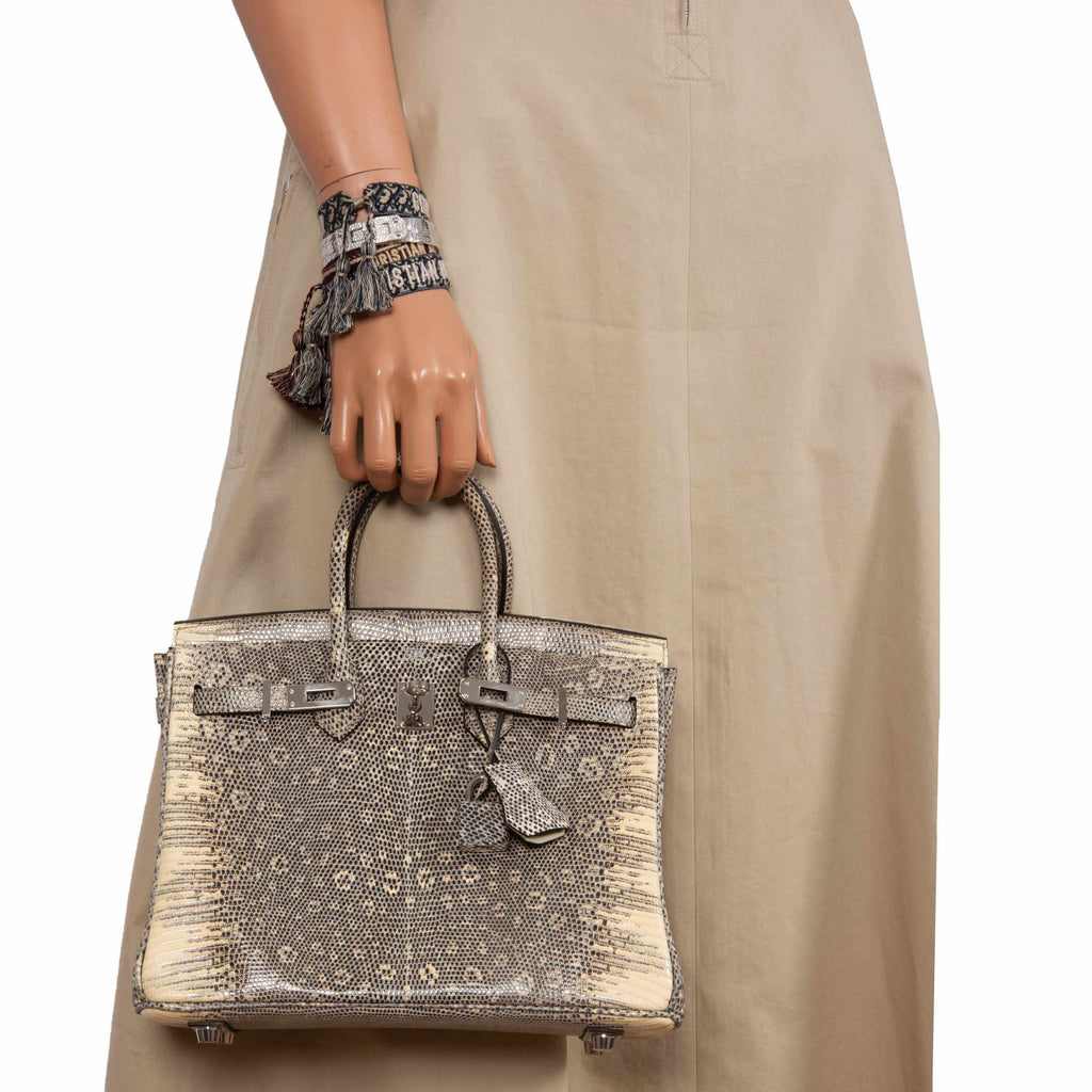 HermÃƒÆ’Ã‚Â¨s Birkin 25 Ombre Lizard Palladium Hardware - Very Rare