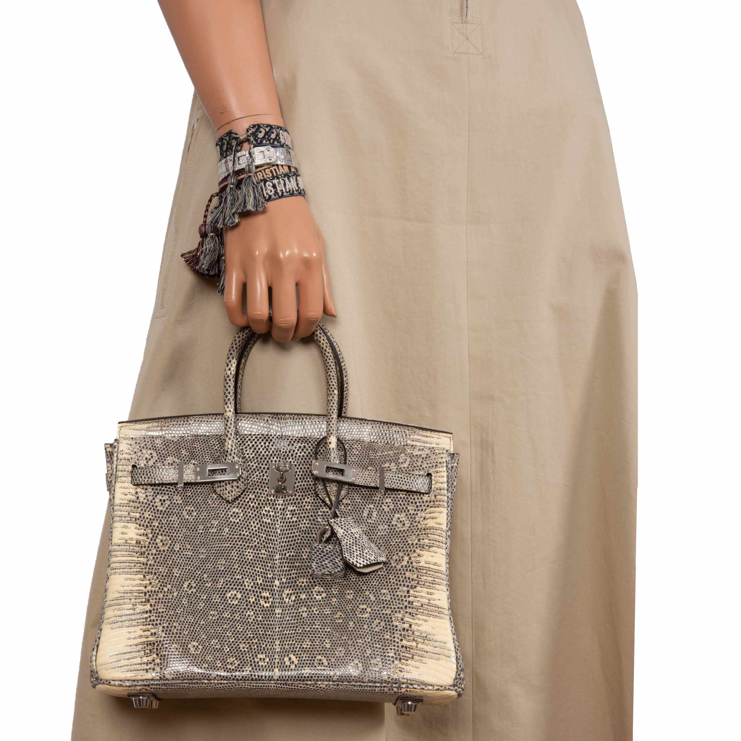 HermÃƒÆ’Ã‚Â¨s Birkin 25 Ombre Lizard Palladium Hardware - Very Rare
