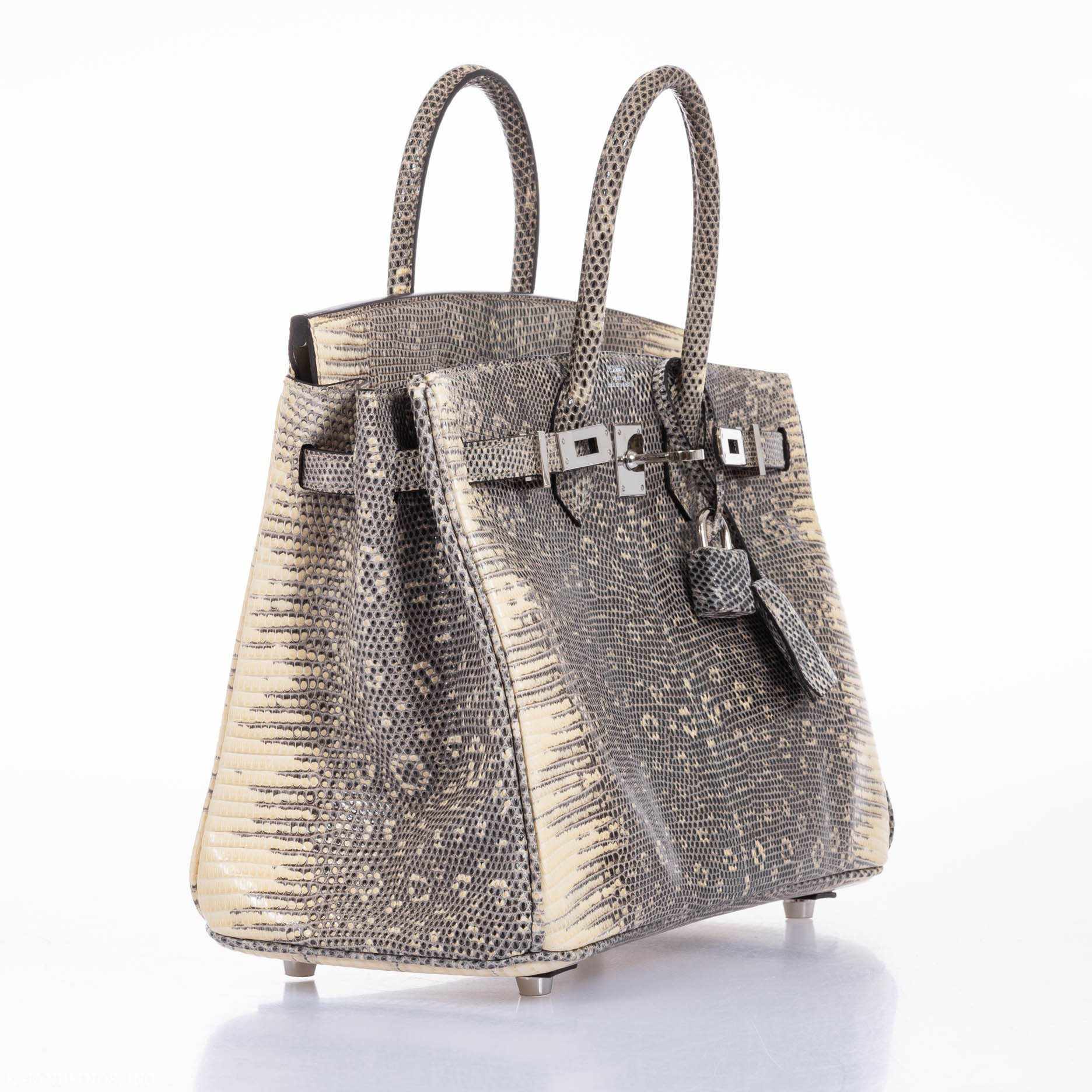 HermÃƒÆ’Ã‚Â¨s Birkin 25 Ombre Lizard Palladium Hardware - Very Rare