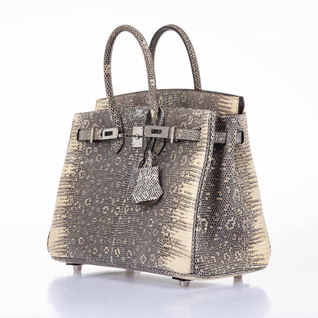 HermÃƒÆ’Ã‚Â¨s Birkin 25 Ombre Lizard Palladium Hardware - Very Rare