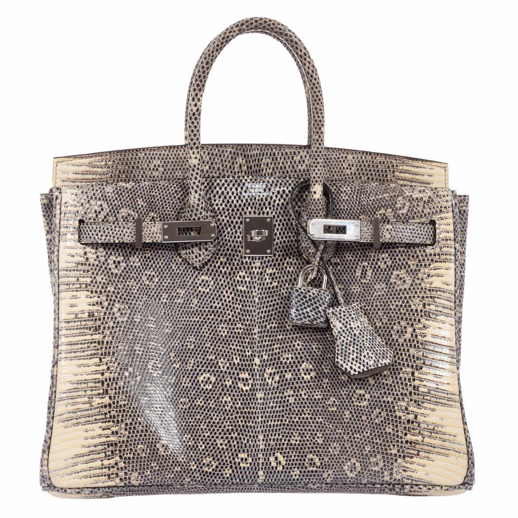 HermÃƒÆ’Ã‚Â¨s Birkin 25 Ombre Lizard Palladium Hardware - Very Rare