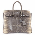 HermÃƒÆ’Ã‚Â¨s Birkin 25 Ombre Lizard Palladium Hardware - Very Rare