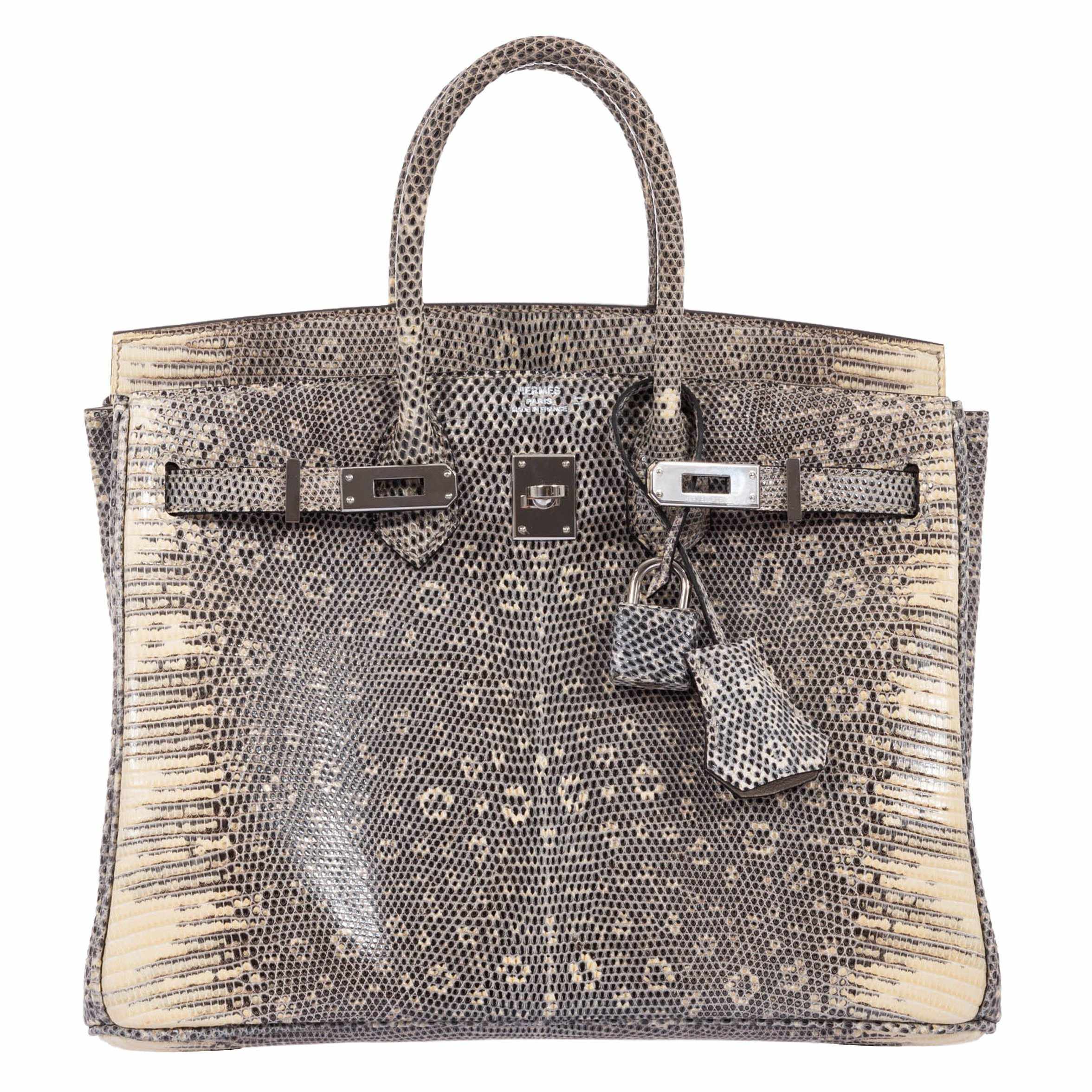 HermÃƒÆ’Ã‚Â¨s Birkin 25 Ombre Lizard Palladium Hardware - Very Rare