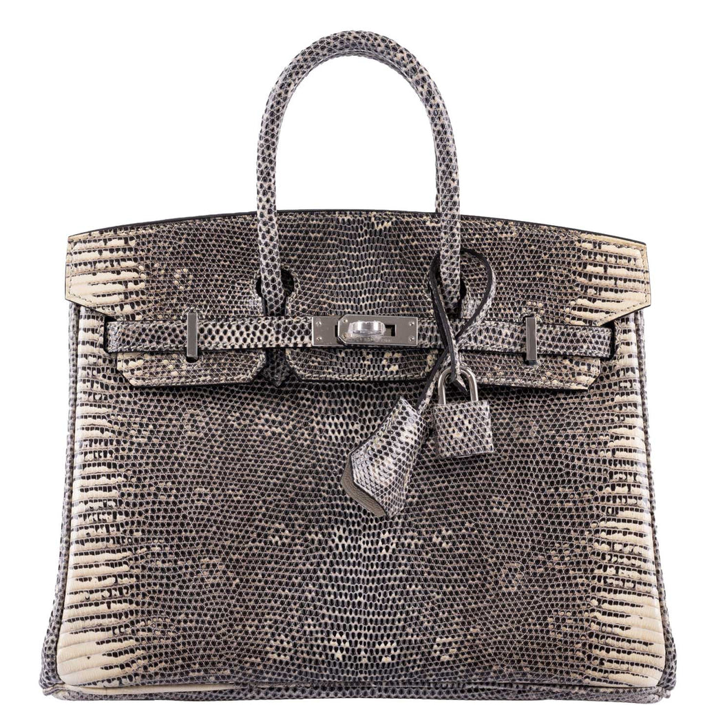 HermÃƒÆ’Ã‚Â¨s Birkin 25 Ombre Lizard Palladium Hardware