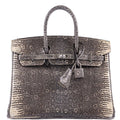 HermÃƒÆ’Ã‚Â¨s Birkin 25 Ombre Lizard Palladium Hardware