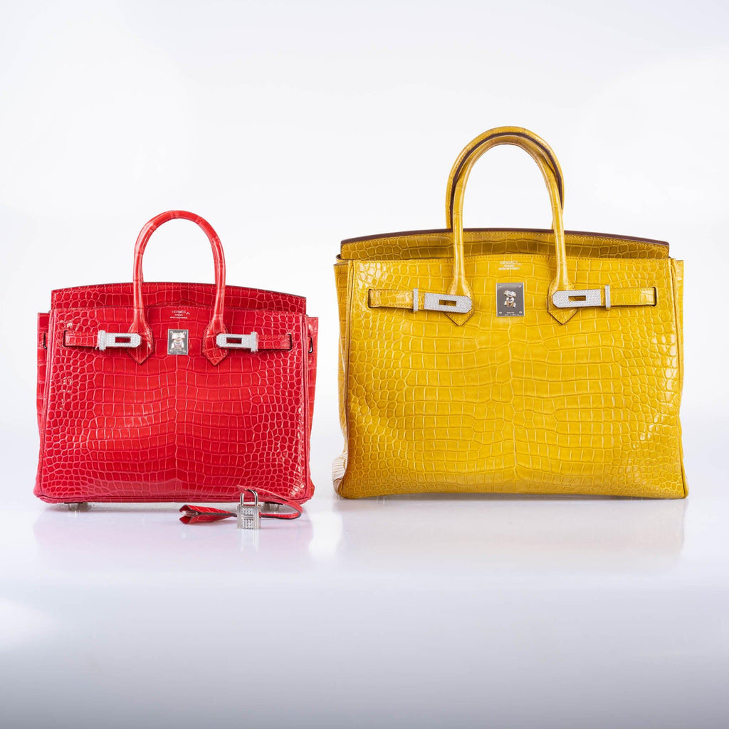 HermÃƒÆ’Ã‚Â¨s Birkin 25 Rouge de Coeur Shiny Porosus Crocodile 18K White Gold Hardware & Diamonds - 2020, Y
