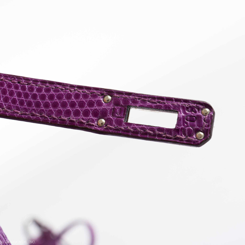 HermÃƒÆ’Ã‚Â¨s Birkin 25 Violet Lizard Ruthenium Hardware - 2006