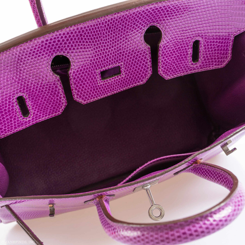 HermÃƒÆ’Ã‚Â¨s Birkin 25 Violet Lizard Ruthenium Hardware - 2006