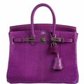 HermÃƒÆ’Ã‚Â¨s Birkin 25 Violet Lizard Ruthenium Hardware - 2006