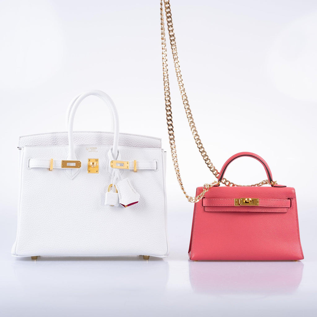 HermÃƒÆ’Ã‚Â¨s HSS Birkin 25 White Togo and Rose Pourpre Interior with Brushed Gold Hardware - 2021, Z