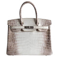 HermÃƒÆ’Ã‚Â¨s Birkin 30 Himalayan Niloticus Crocodile Bag