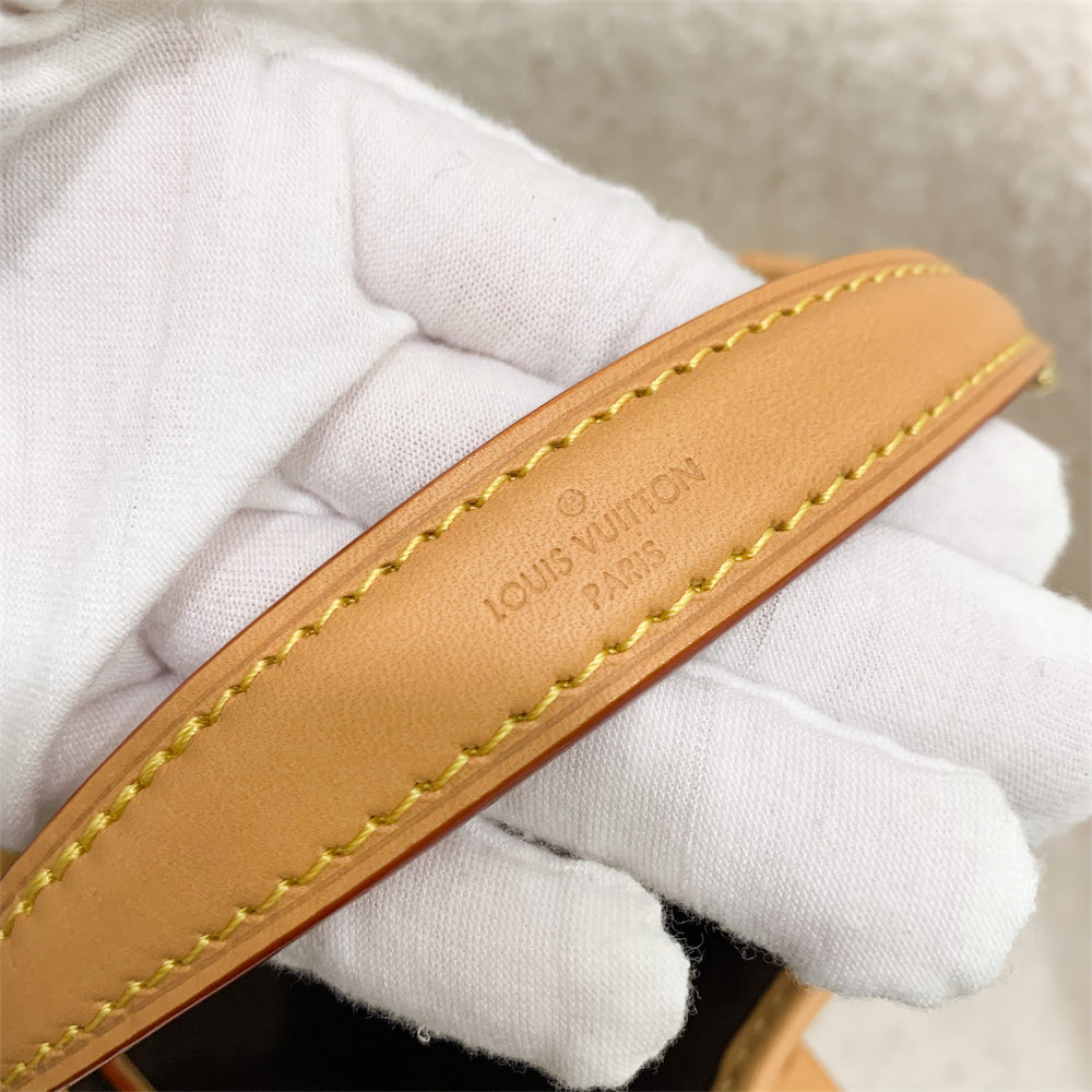 LV Nano Noe in Monogram Canvas GHW