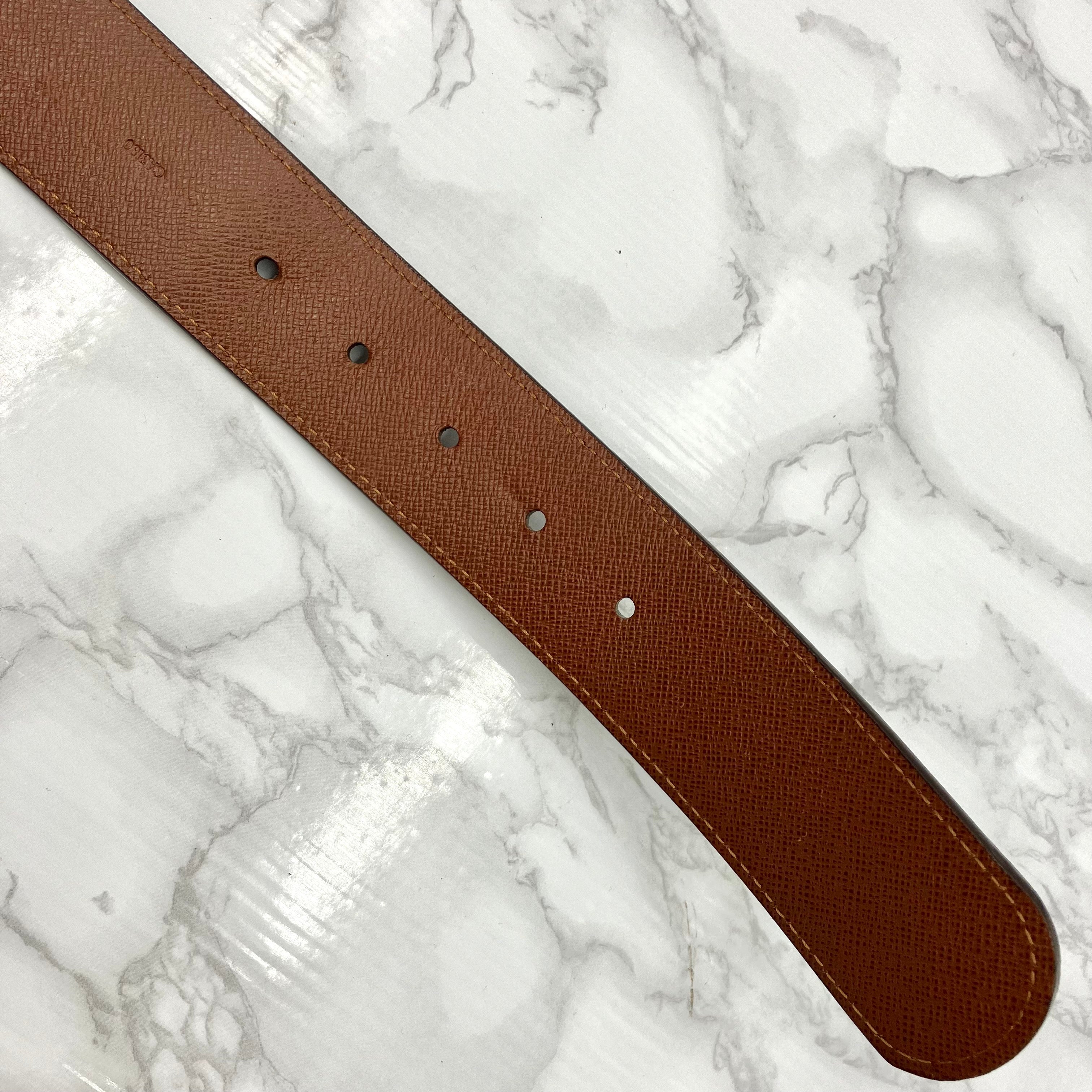 LOUIS VUITTON Monogram Santure Pochette Duo
