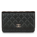 Wallet on Chain - Iridescent