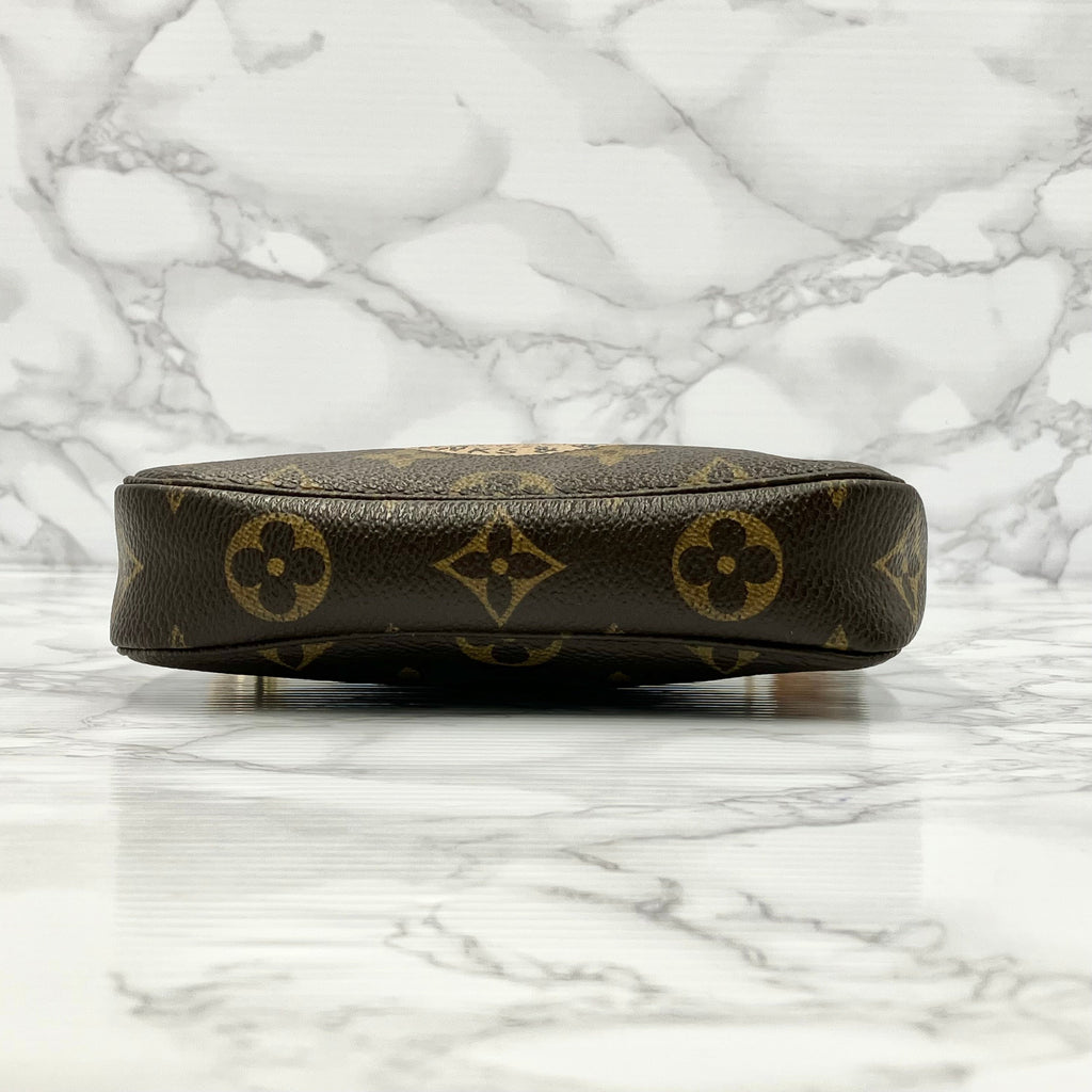 LOUIS VUITTON Mini Accessoir