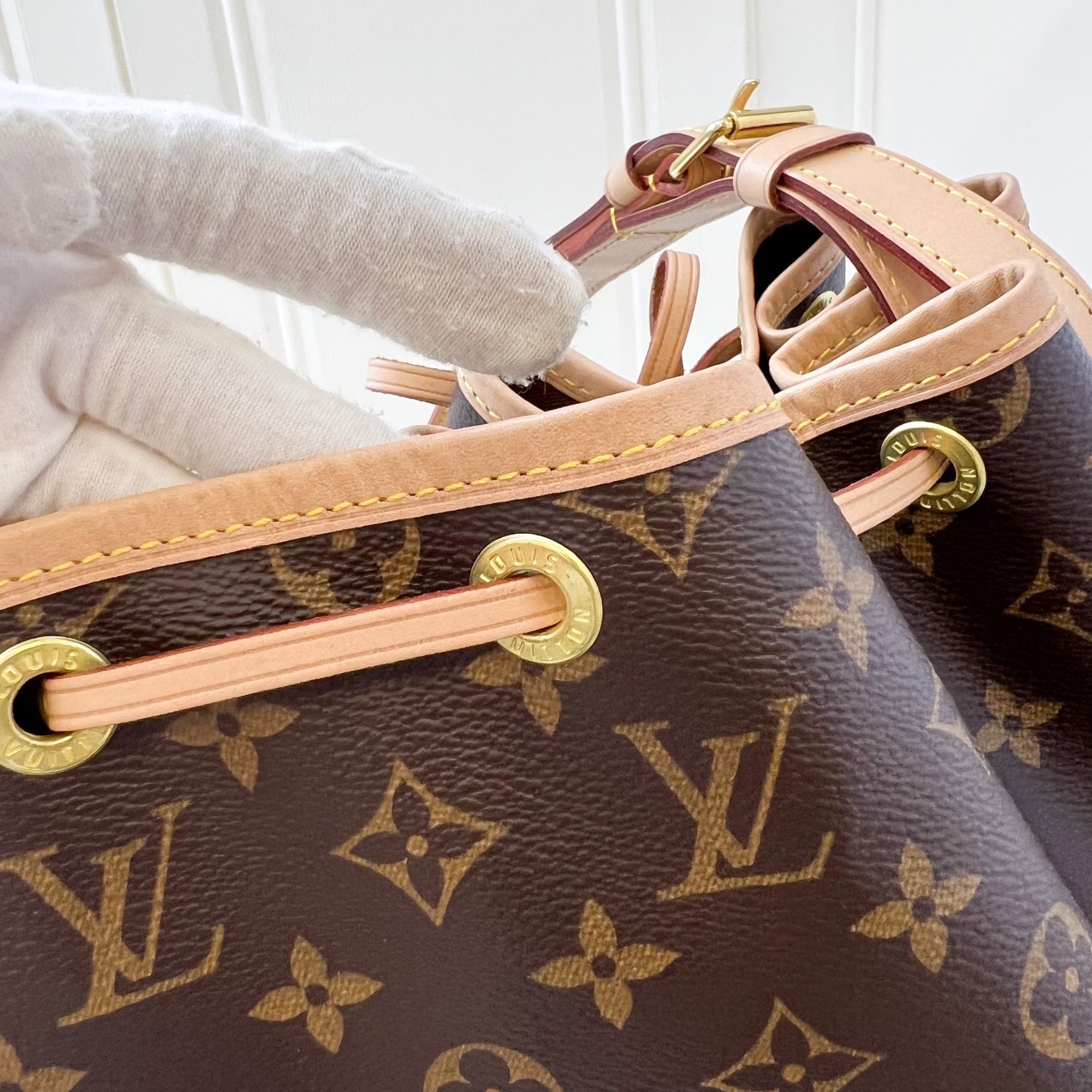 LV Noe Bucket Bag in Monogram Canvas and GHW