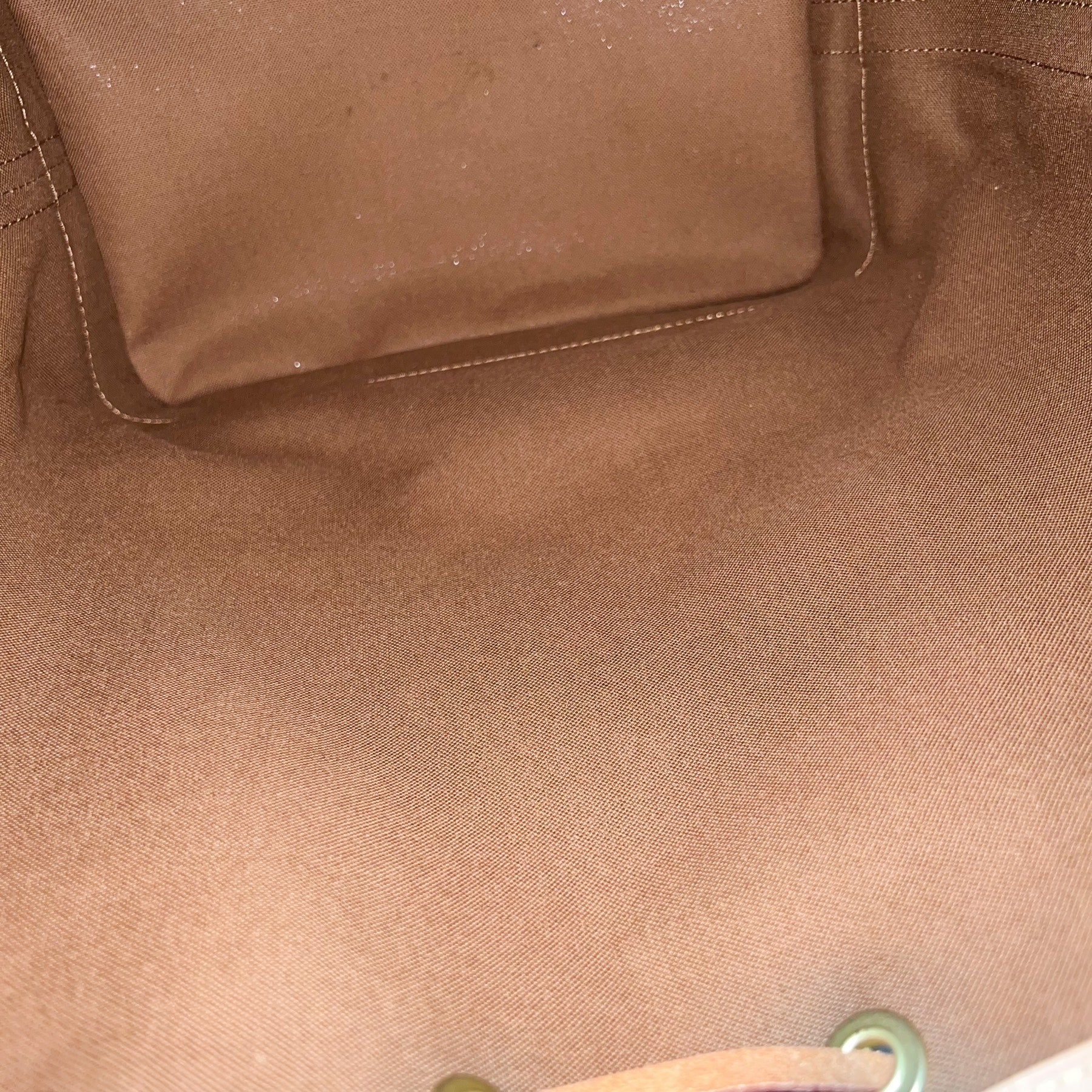 LV Noe Bucket Bag in Monogram Canvas and GHW