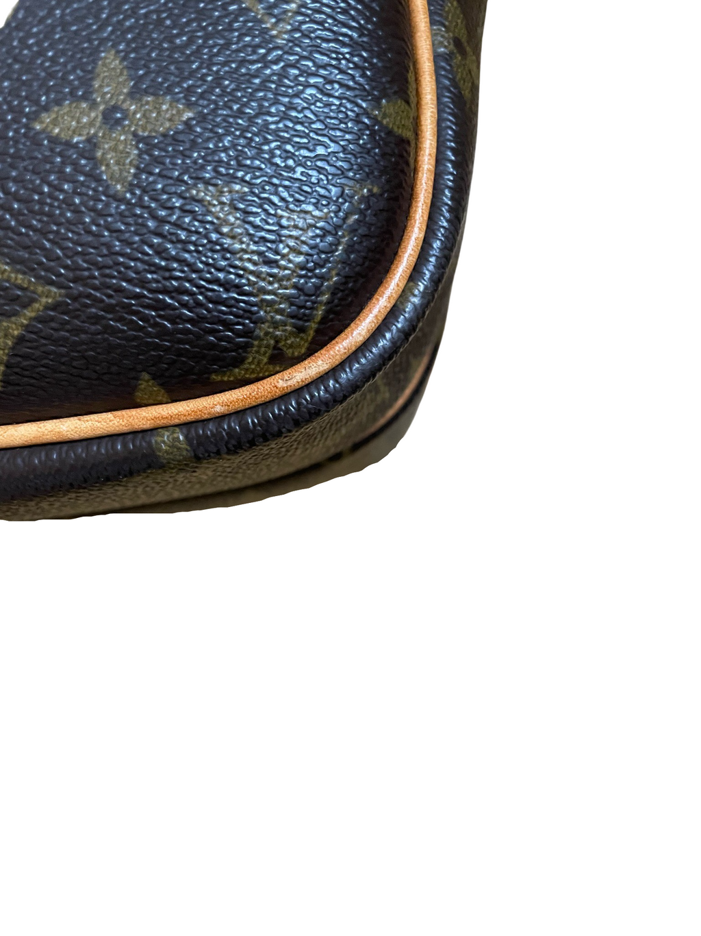 Louis Vuitton Reporter PM Monogram