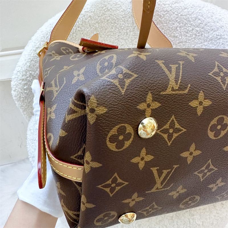 LV Carryall PM in Monogram Canvas and GHW
