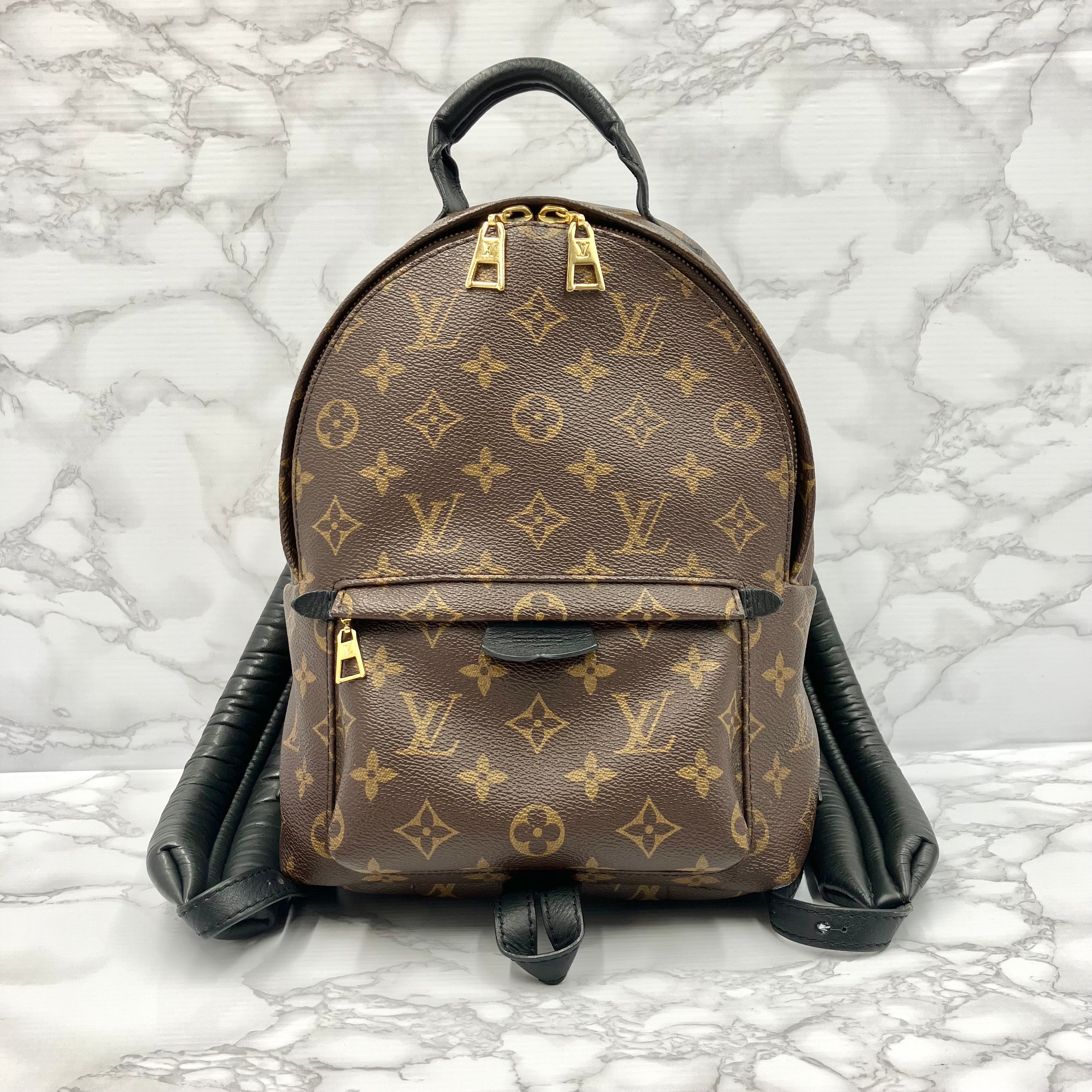 LOUIS VUITTON Monogram Palm Springs PM