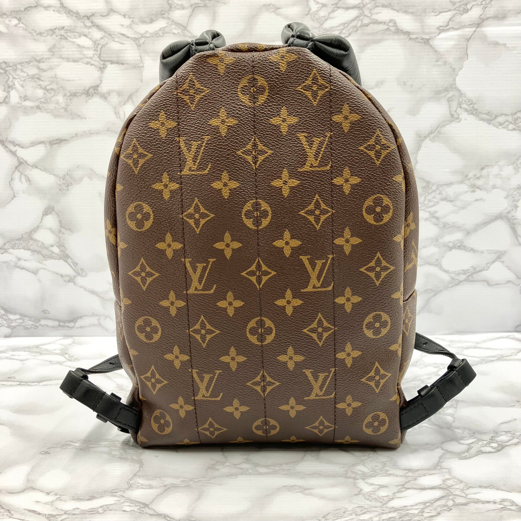 LOUIS VUITTON Monogram Palm Springs PM