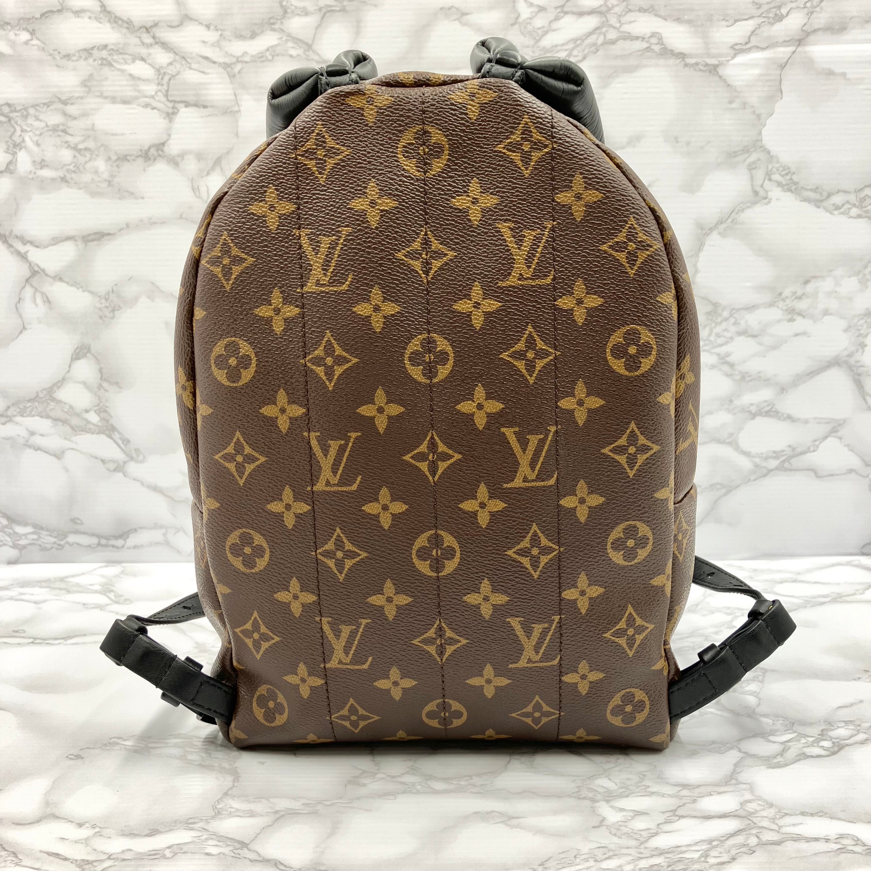 LOUIS VUITTON Monogram Palm Springs PM