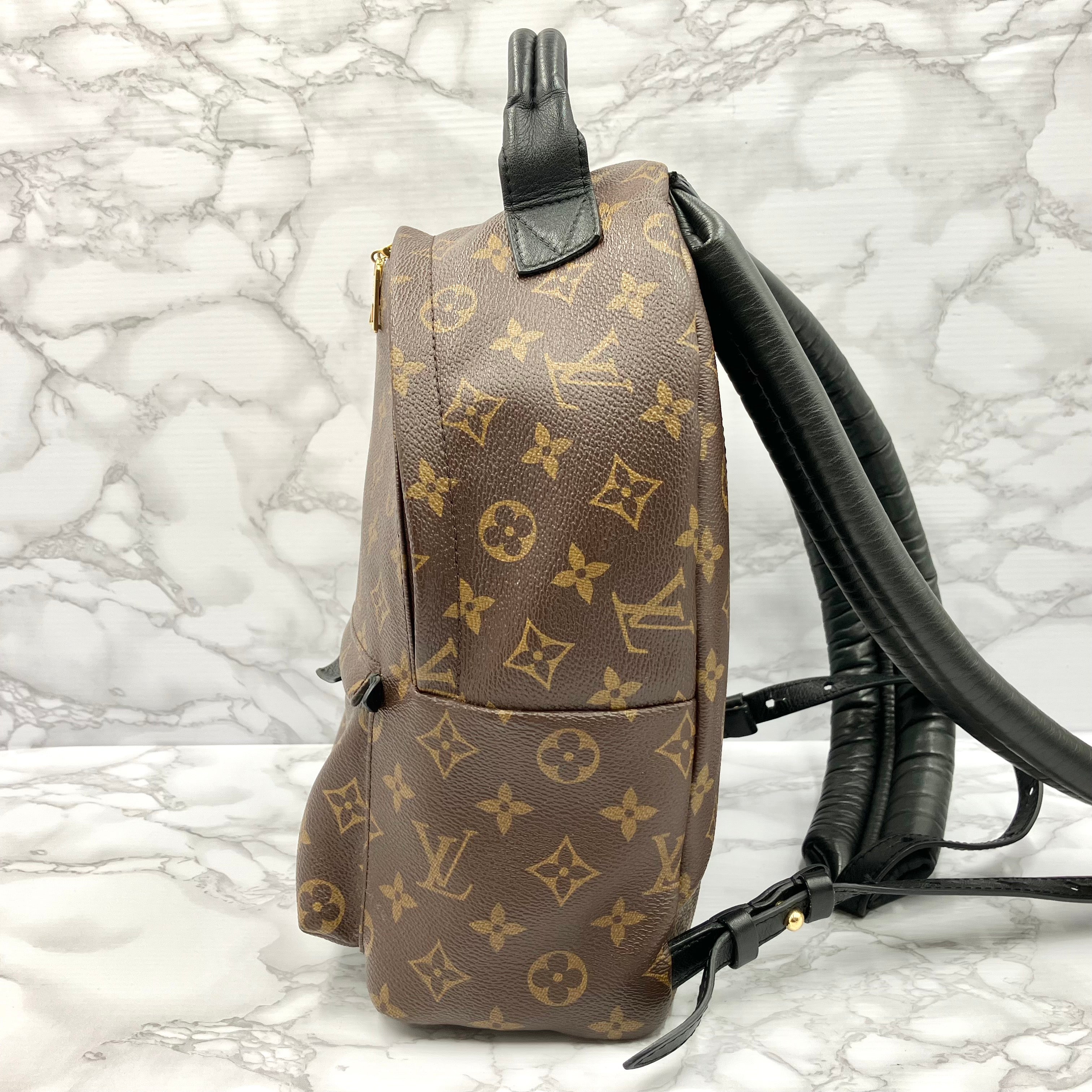 LOUIS VUITTON Monogram Palm Springs PM