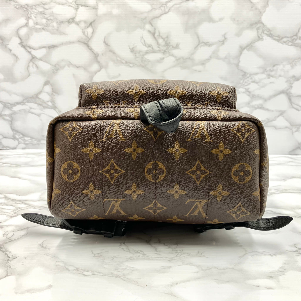 LOUIS VUITTON Monogram Palm Springs PM