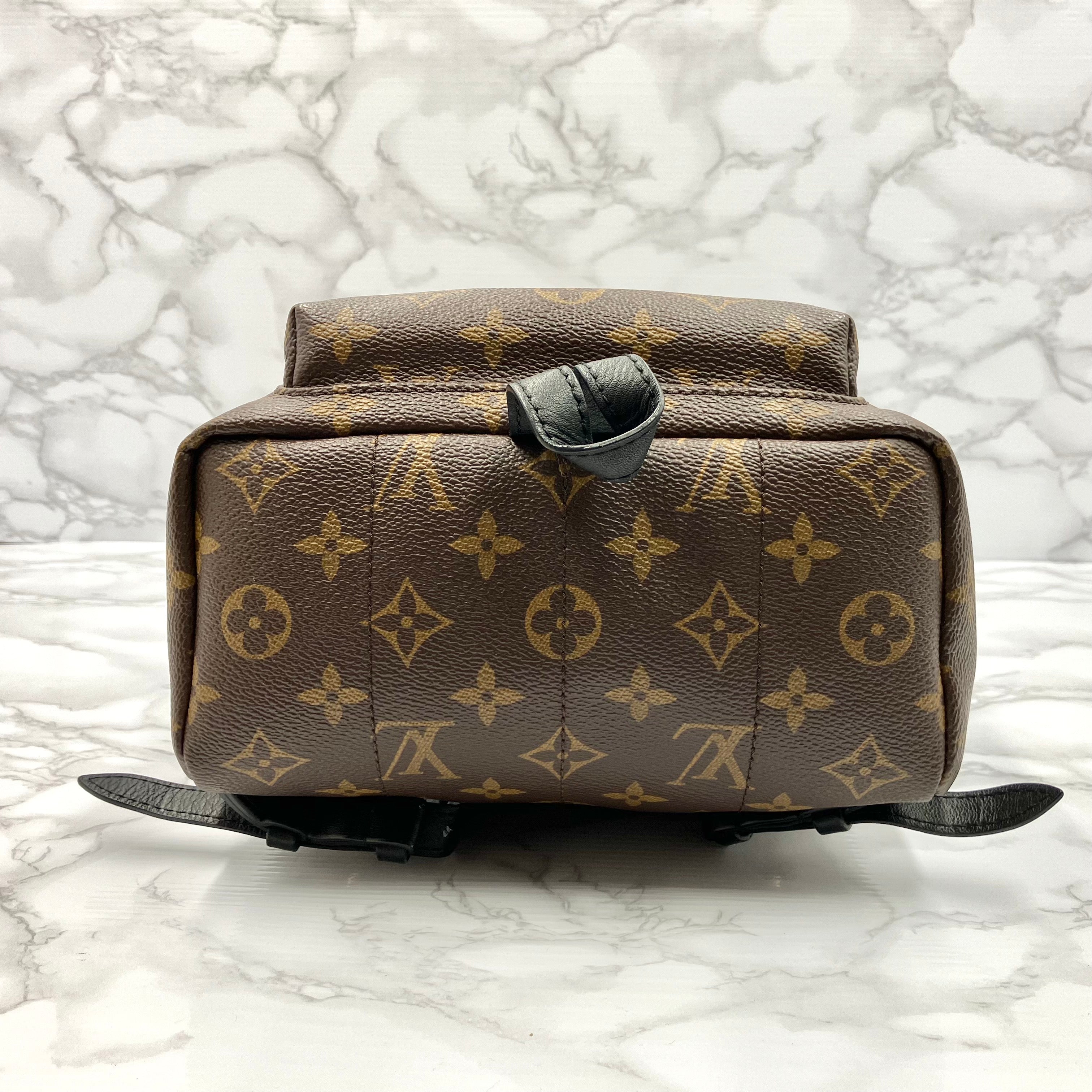 LOUIS VUITTON Monogram Palm Springs PM