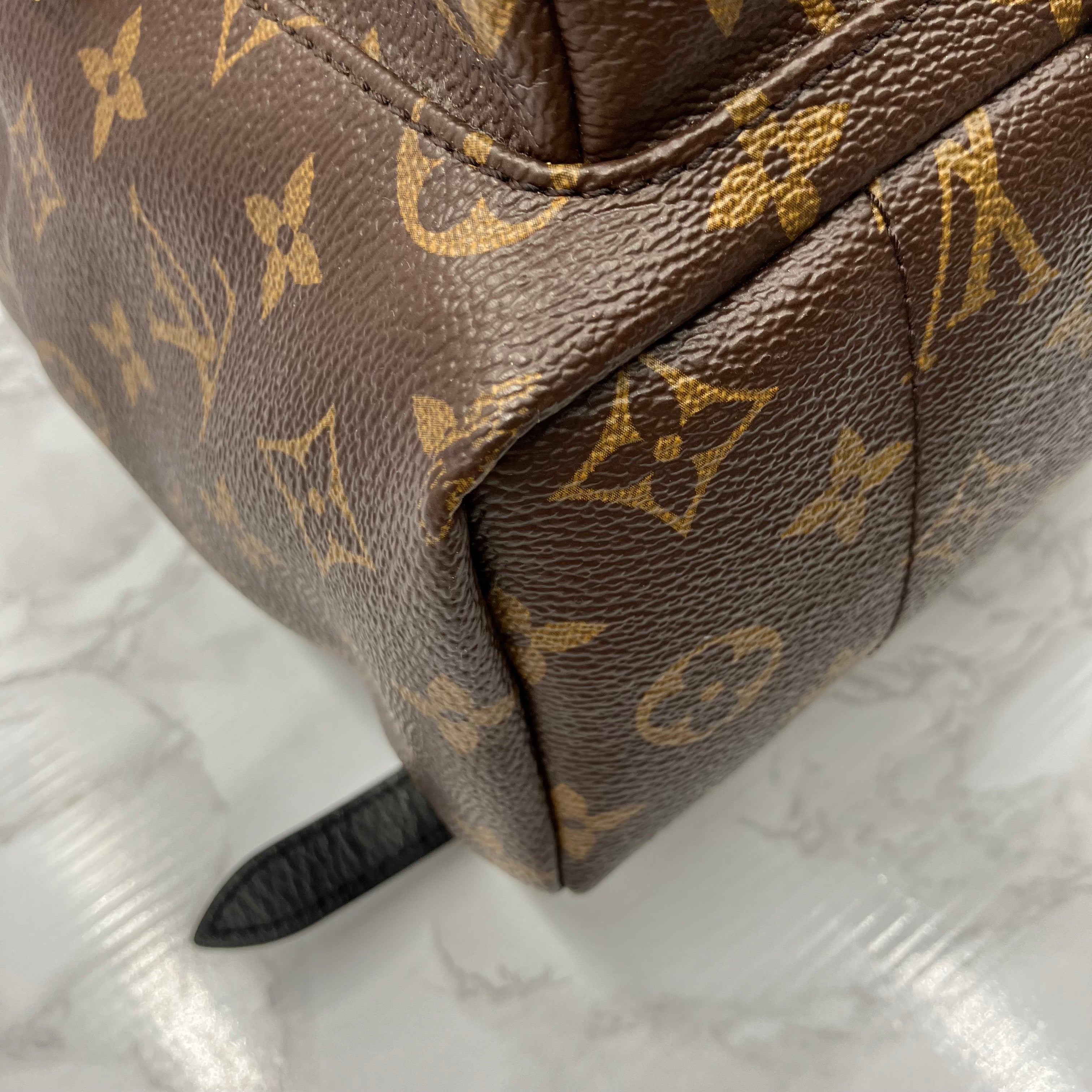 LOUIS VUITTON Monogram Palm Springs PM