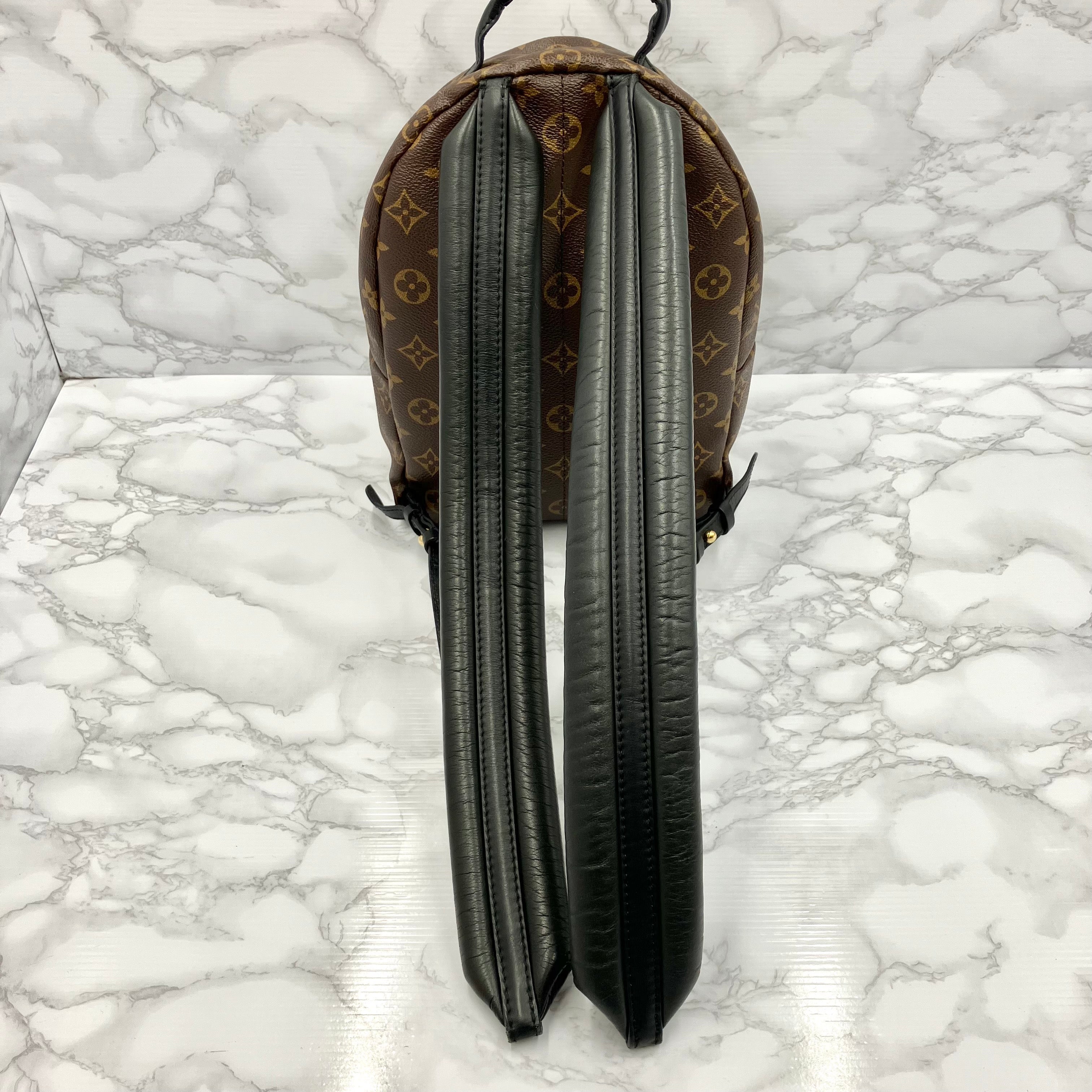 LOUIS VUITTON Monogram Palm Springs PM