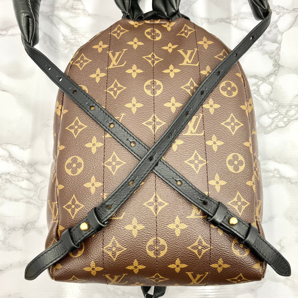 LOUIS VUITTON Monogram Palm Springs PM