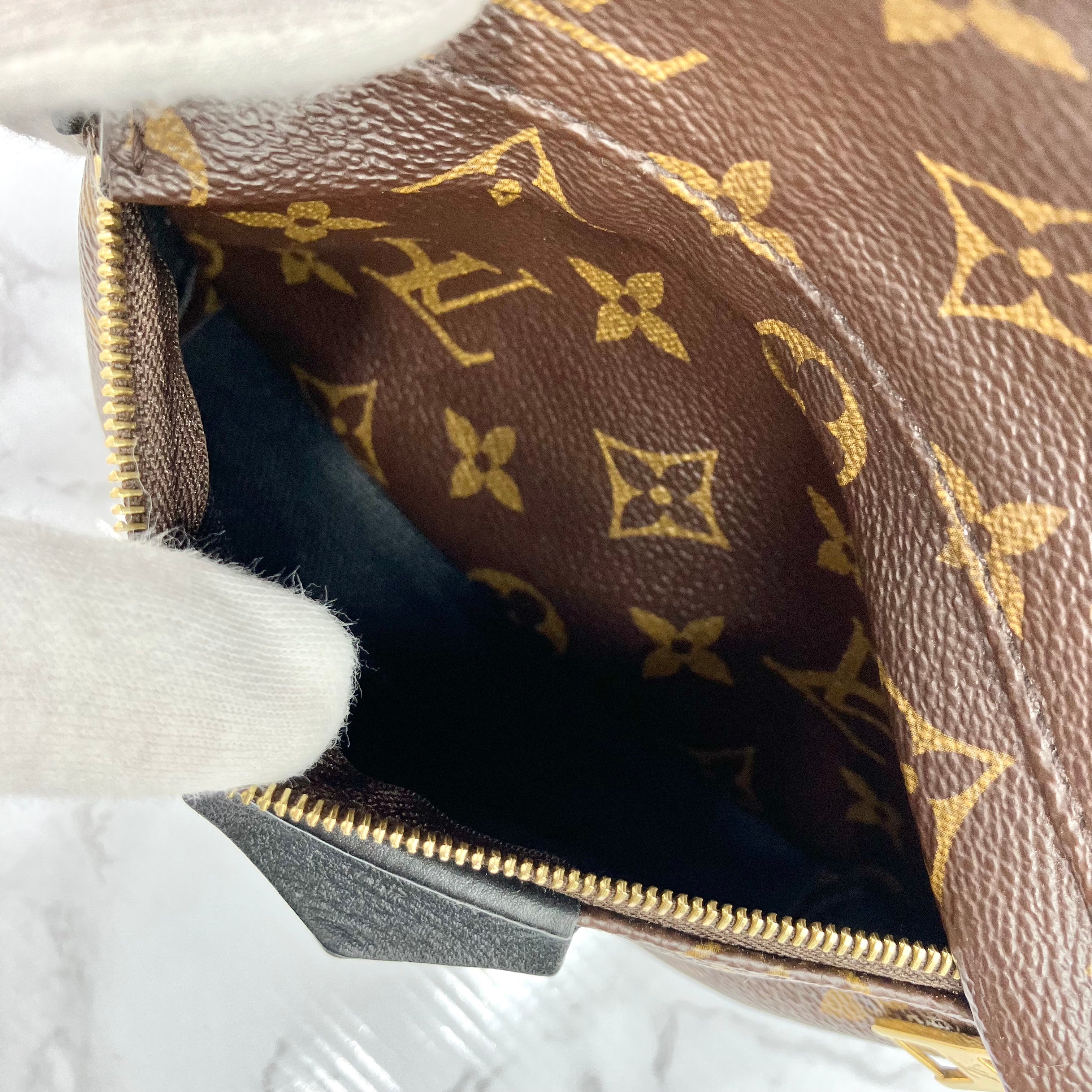 LOUIS VUITTON Monogram Palm Springs PM
