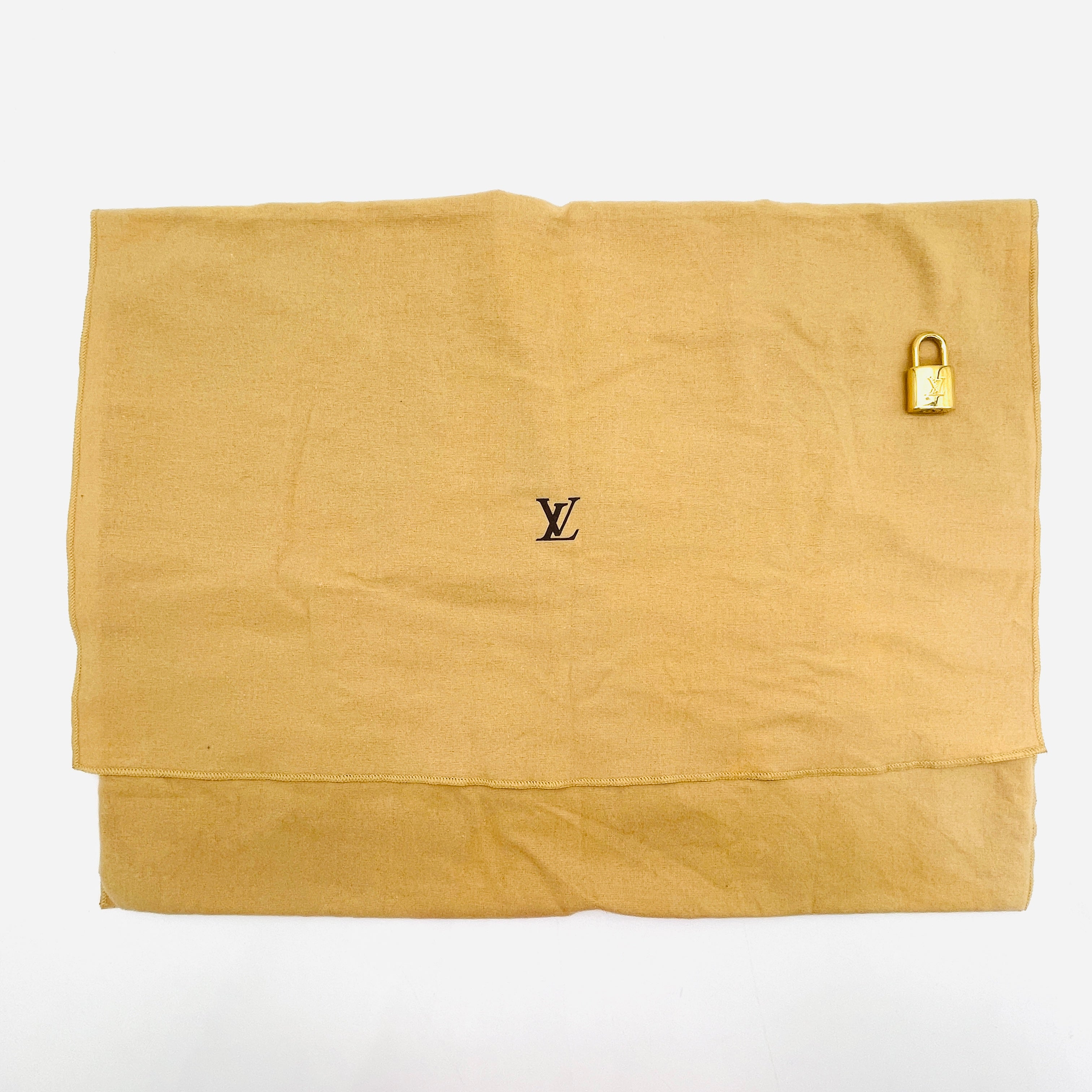 LOUIS VUITTON Vernis Alma PM