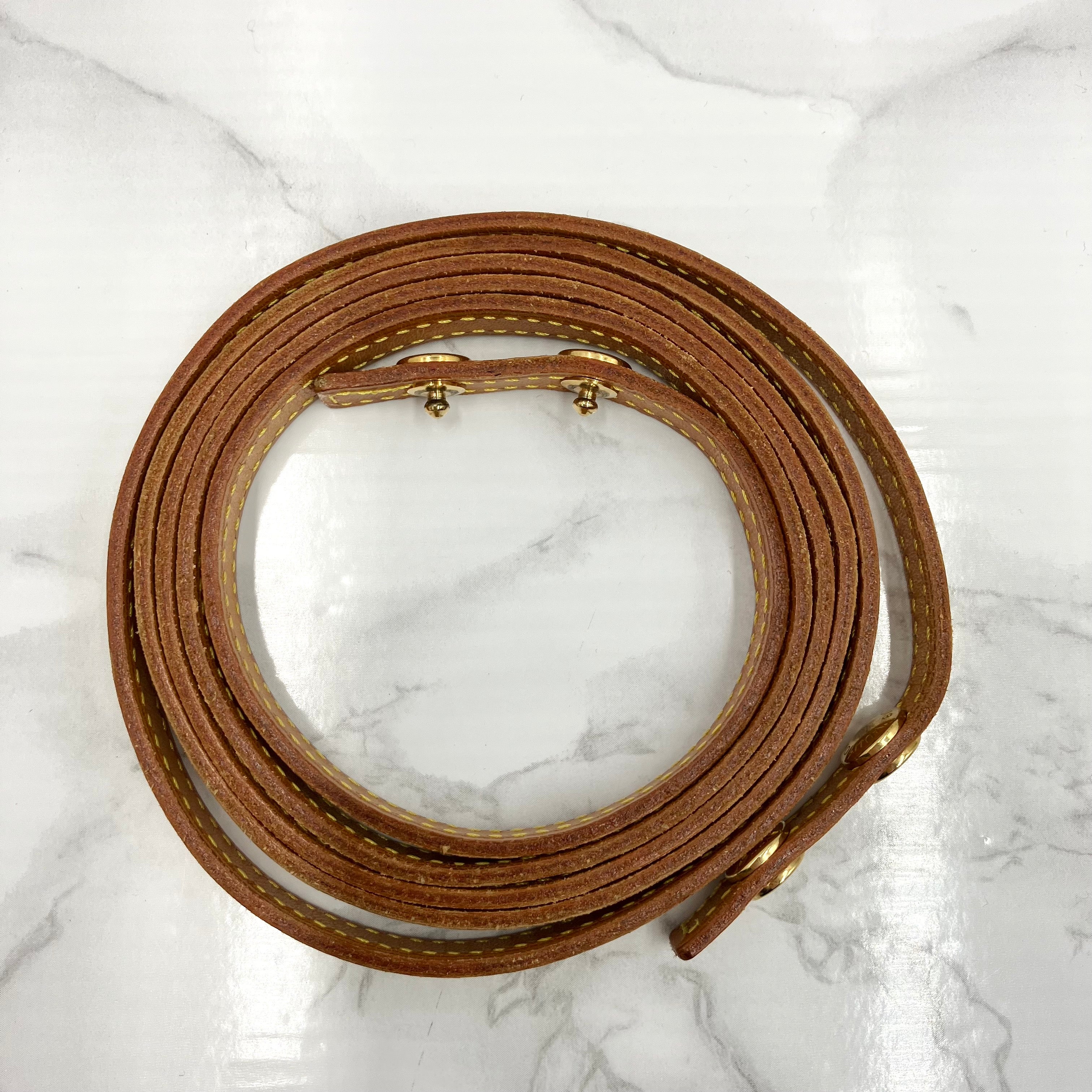 LOUIS VUITTON Monogram Pochette Twin GM