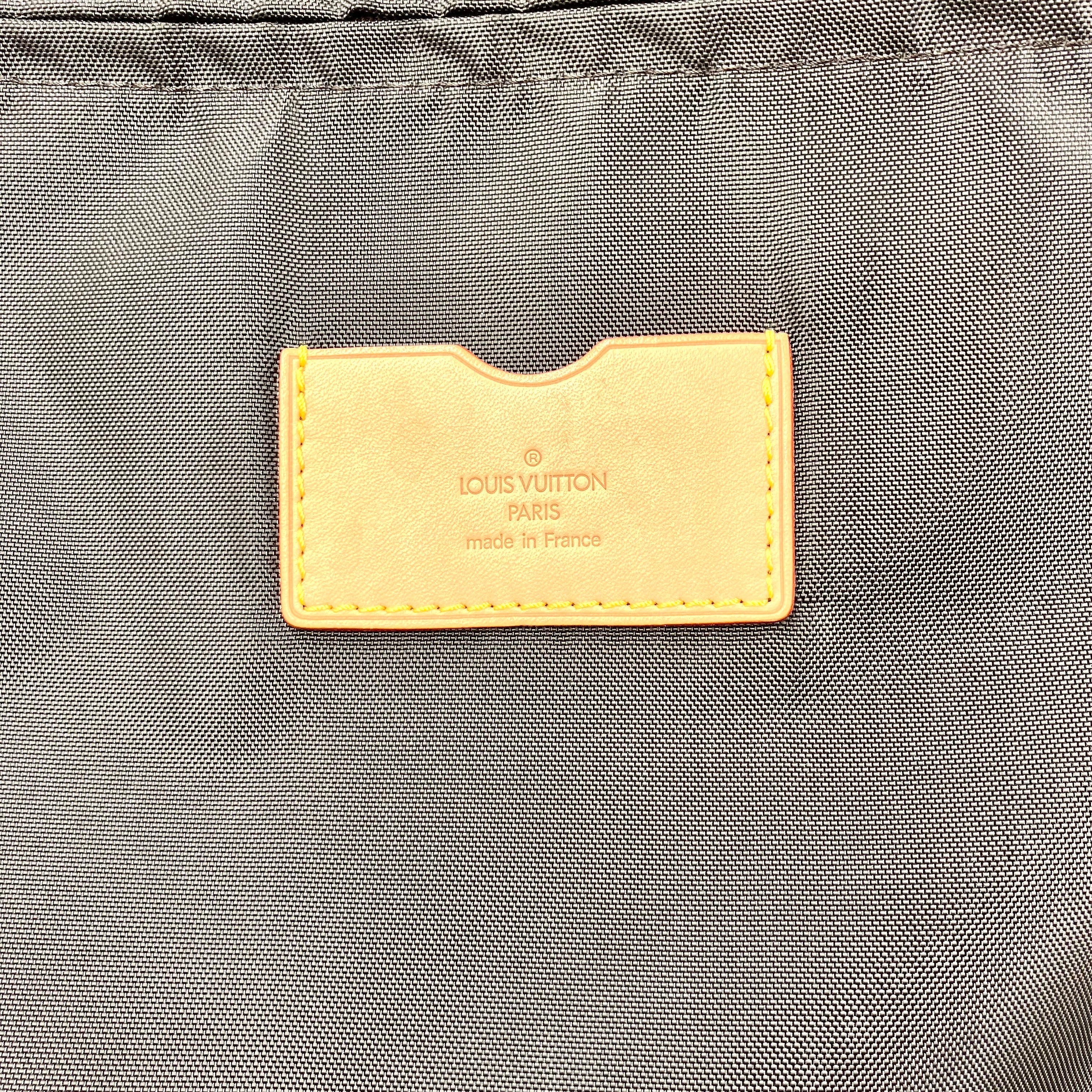 LOUIS VUITTON Monogram Pegase 45
