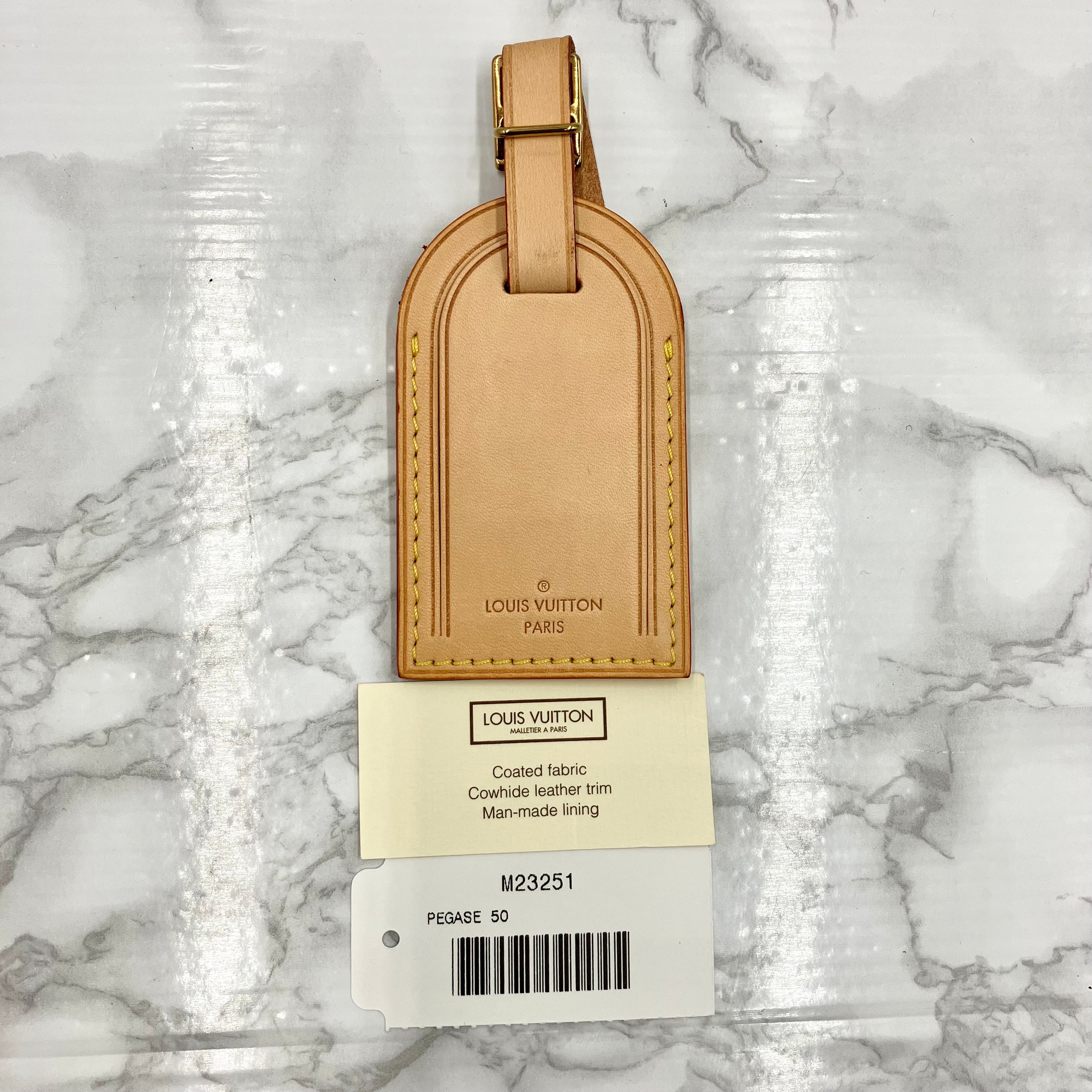 LOUIS VUITTON Monogram Pegase 45