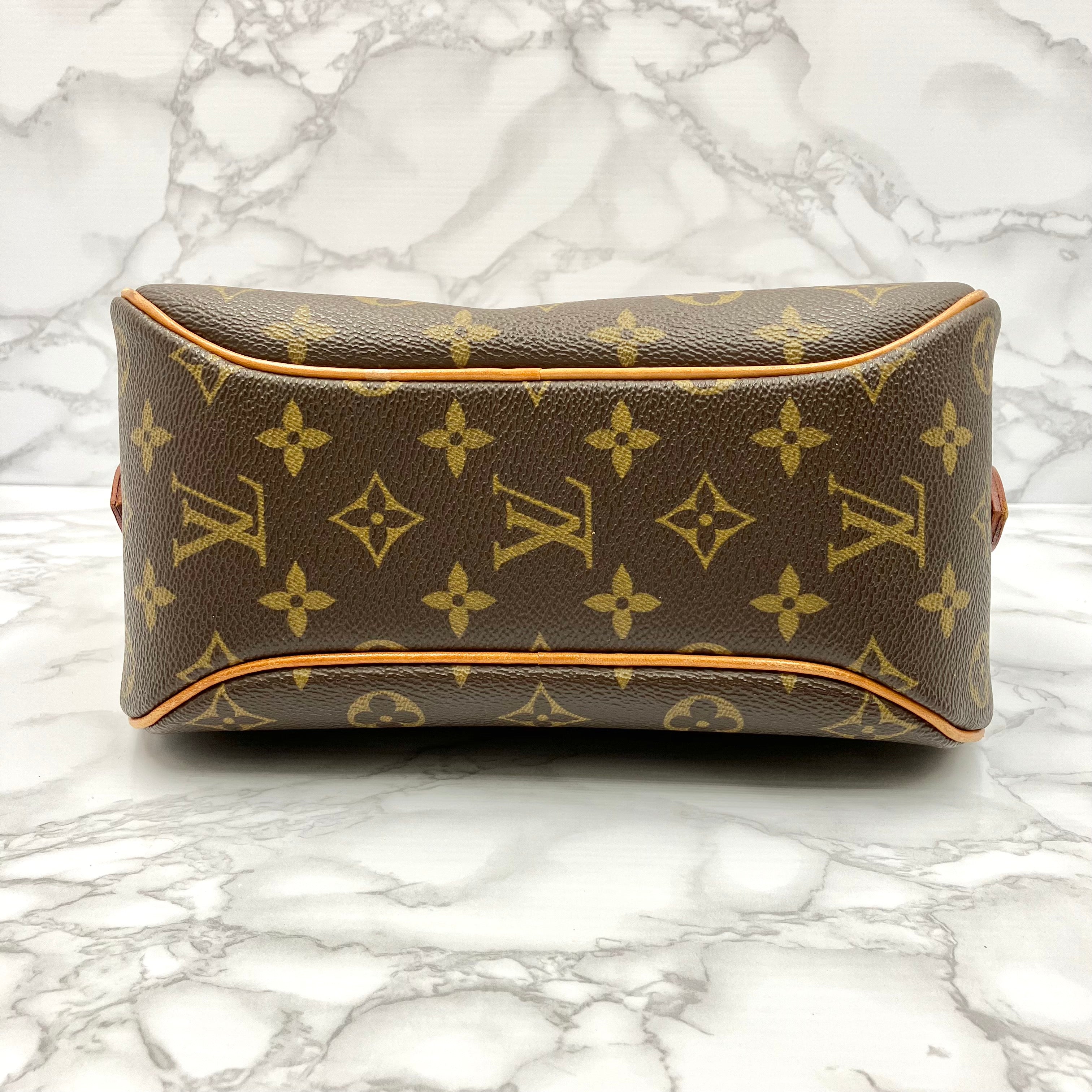 LOUIS VUITTON Monogram blower