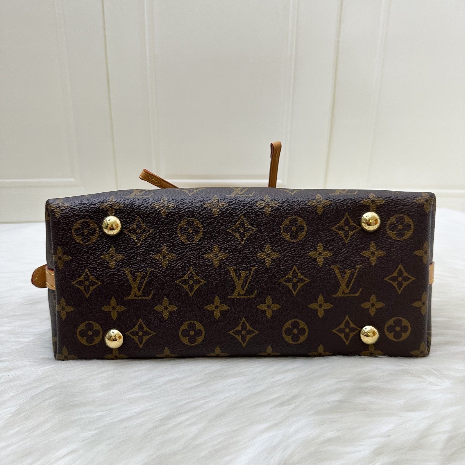 LV Carryall PM Hobo Bag in Monogram Canvas and GHW