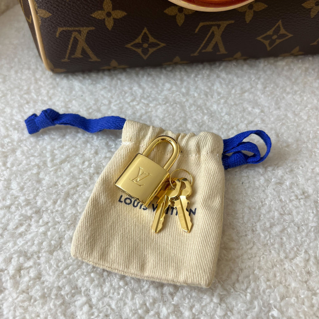 LV Speedy Bandouliere 20 in Monogram Canvas and Black Patterned Strap