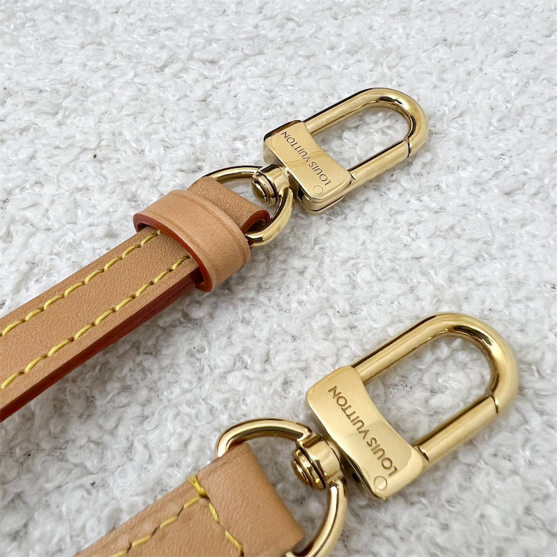 LV Nano Speedy in Monogram Canvas GHW