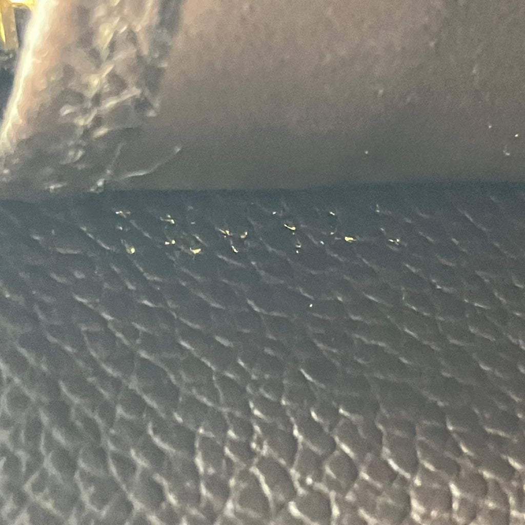 LOUIS VUITTON Amplant Zippy