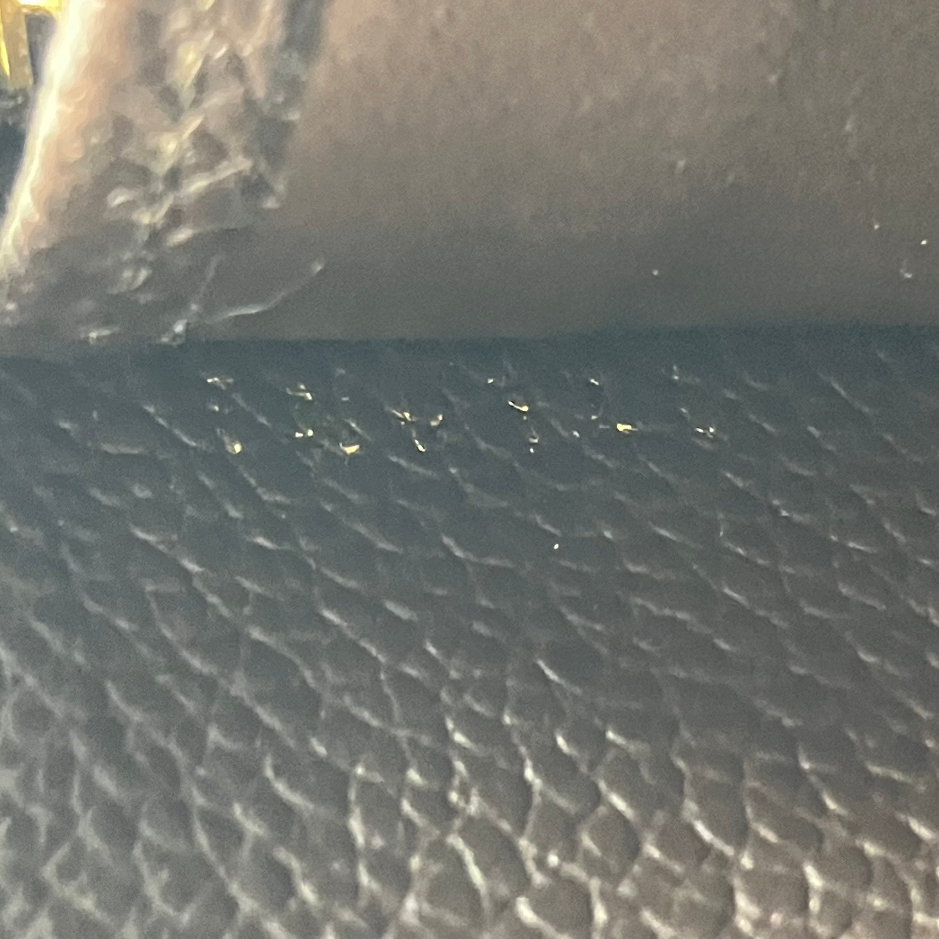 LOUIS VUITTON Amplant Zippy