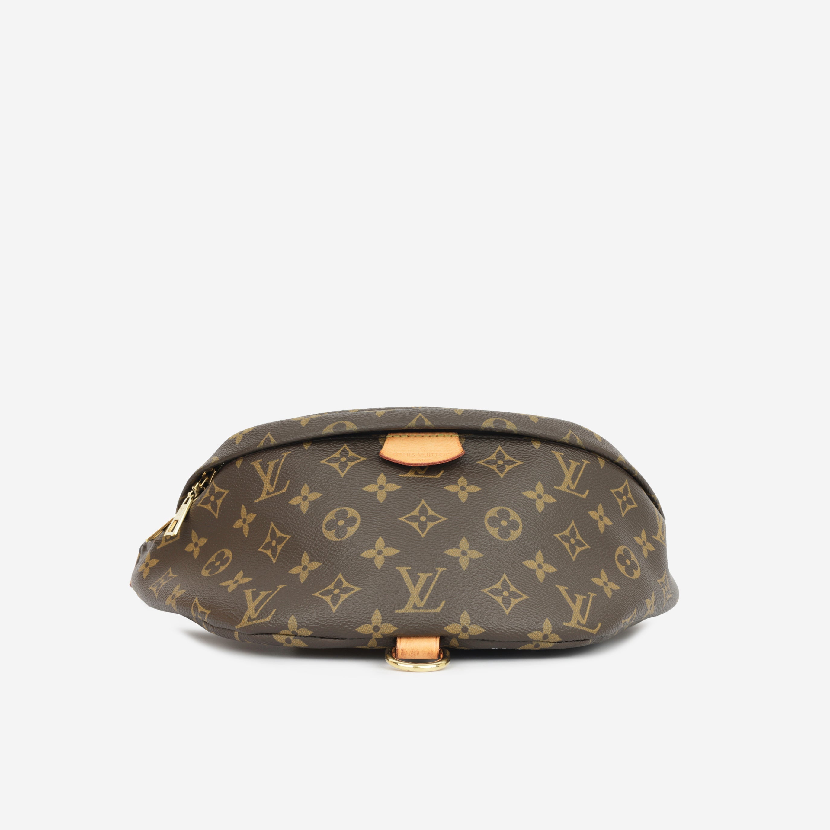 Louis Vuitton Bumbag - Monogram