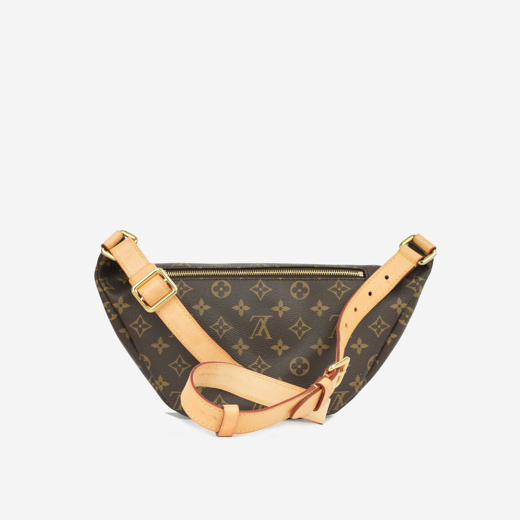 Louis Vuitton Bumbag - Monogram