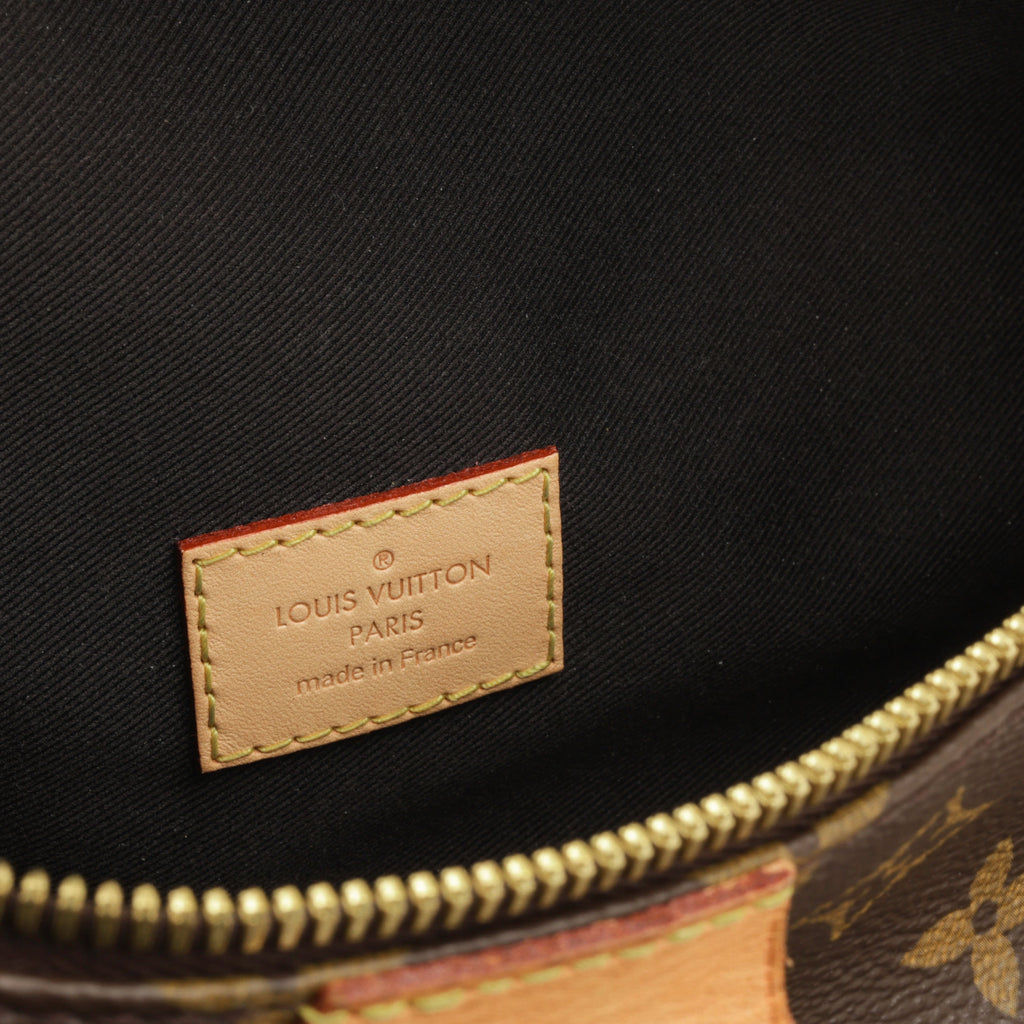 Louis Vuitton Bumbag - Monogram