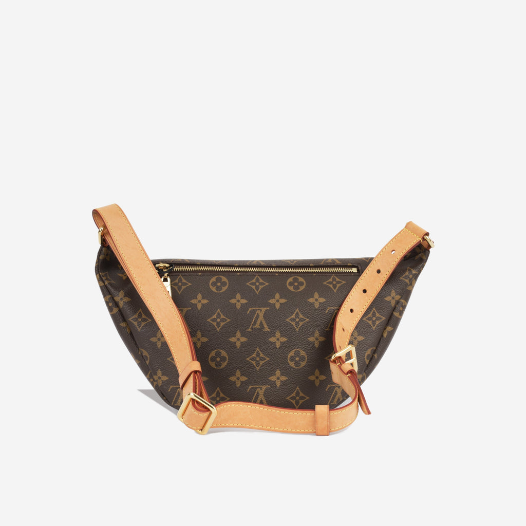 Louis Vuitton Bumbag - Monogram Canvas