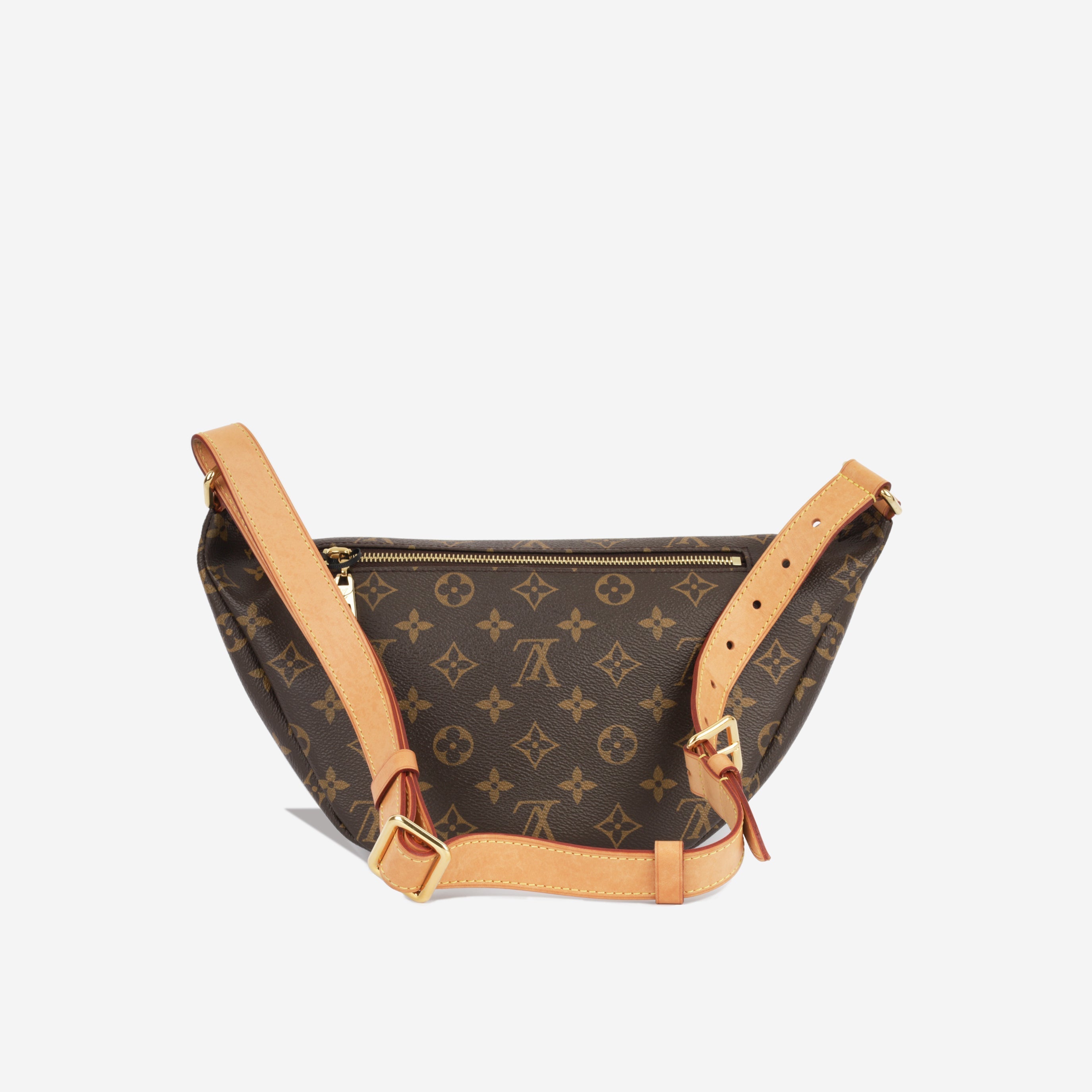 Louis Vuitton Bumbag - Monogram Canvas